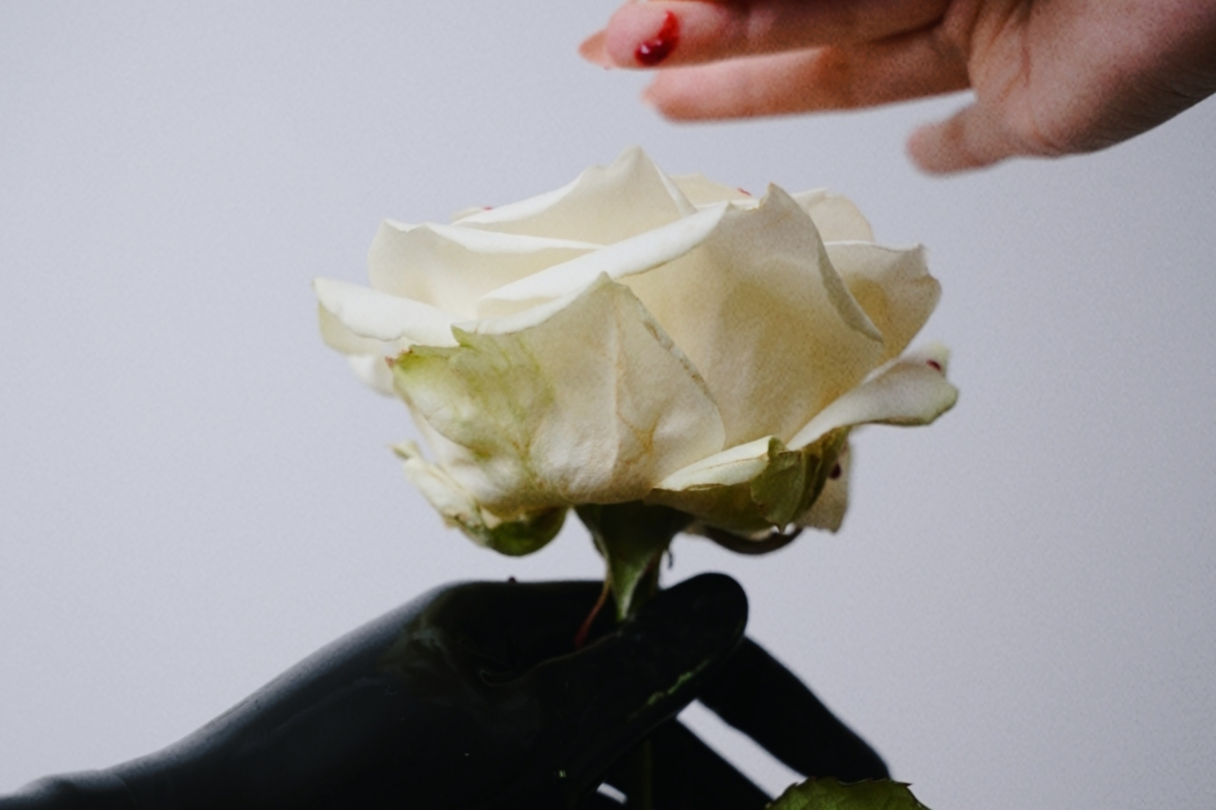 CNC is not “Asking to be raped”